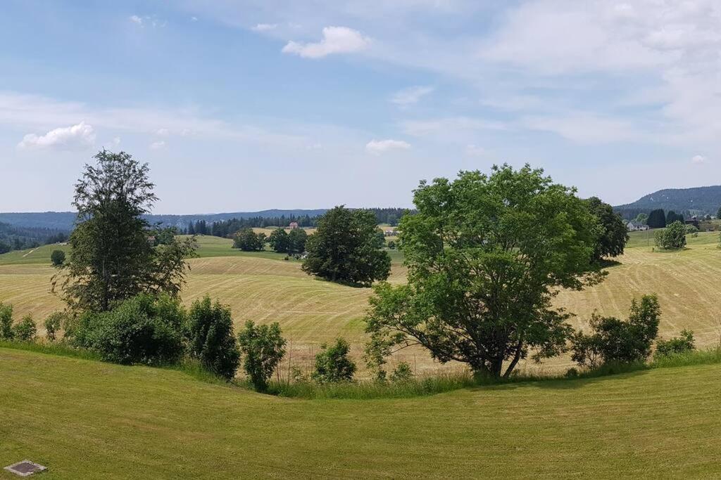 Appartement Les Rousses, Jura Zewnętrze zdjęcie